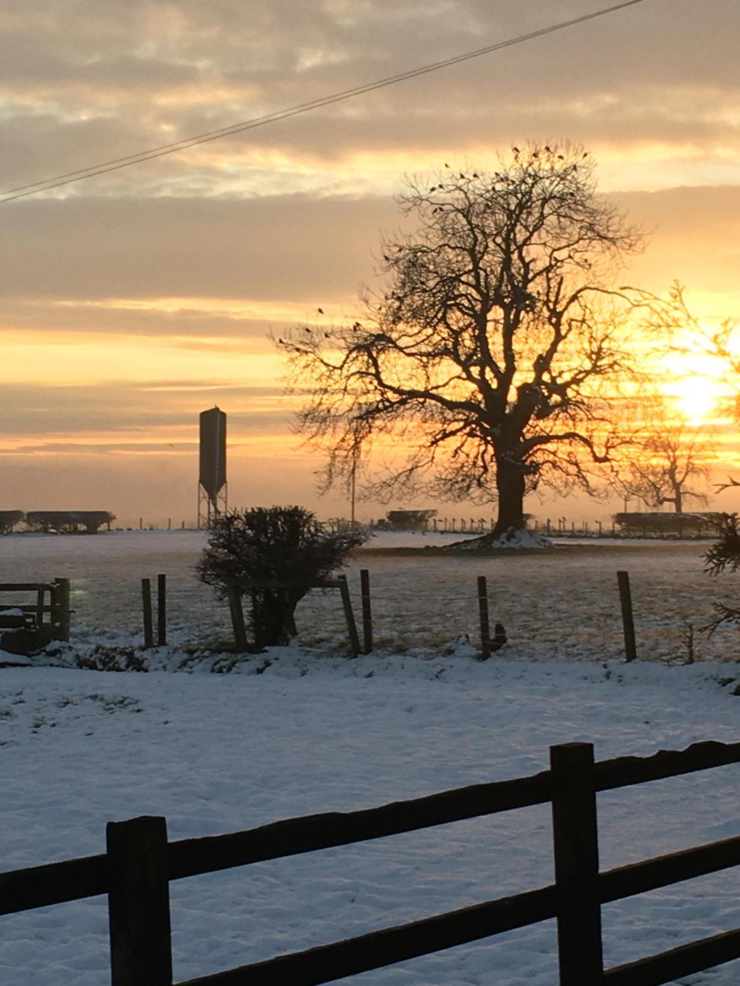 Oscar Park Farm Bed and Breakfast York Esterno foto